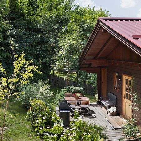 Ferienhaeuser Gerhart Haus im Ennstal Buitenkant foto