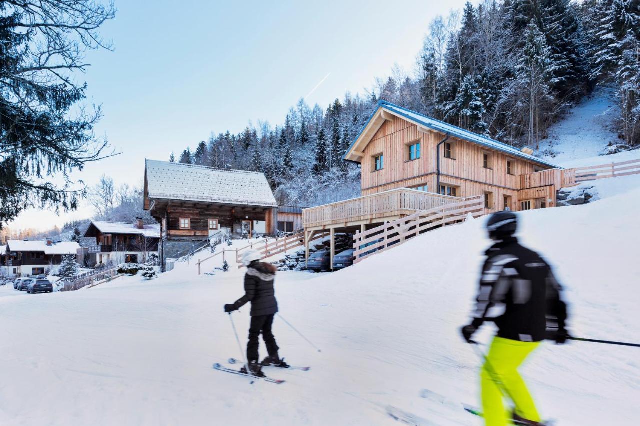 Ferienhaeuser Gerhart Haus im Ennstal Buitenkant foto