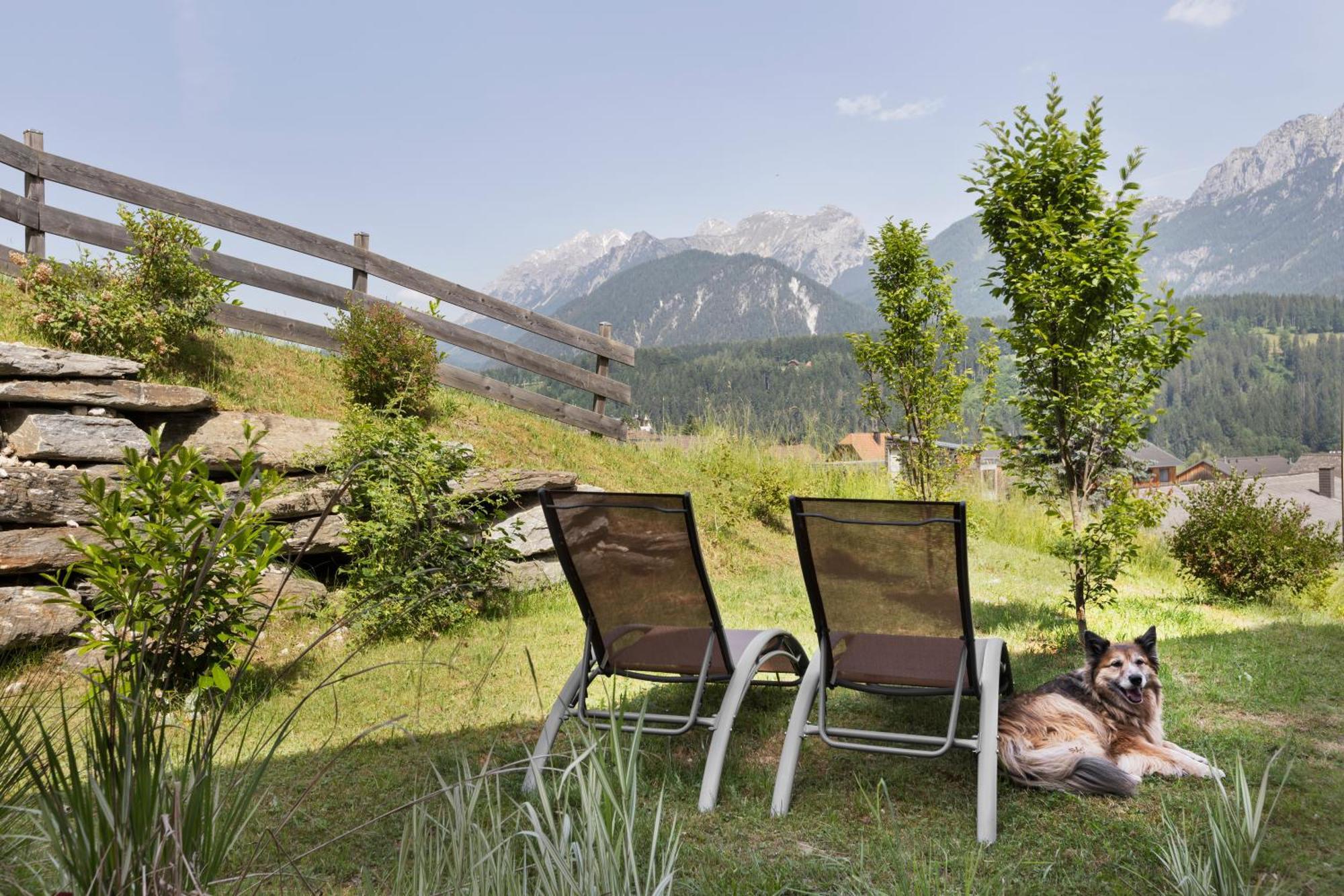Ferienhaeuser Gerhart Haus im Ennstal Buitenkant foto