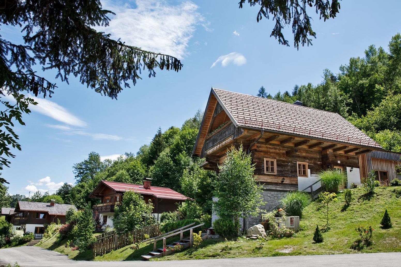 Ferienhaeuser Gerhart Haus im Ennstal Buitenkant foto
